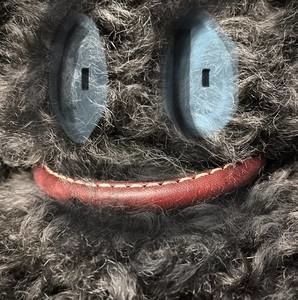 Meet your Posher, Kris